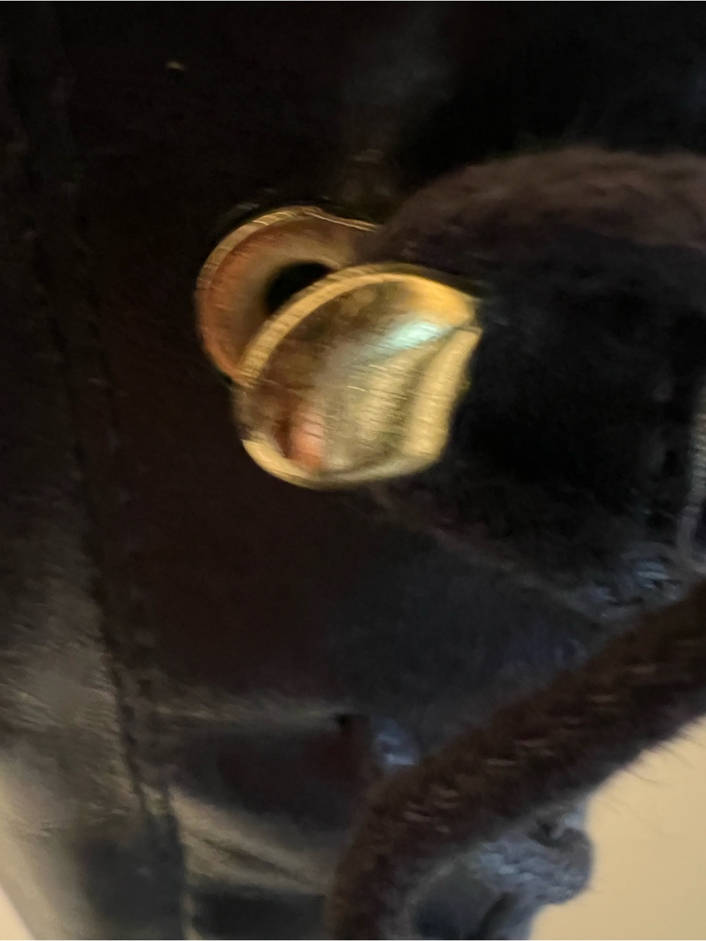 LAUREN RALPH LAUREN Tall Lace Up Boots Black Leather Riding Size 7 - Picture 8 of 16